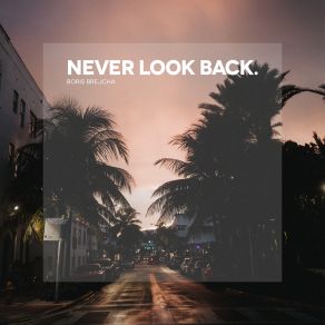 Never Look Back (Original Mix) (Single) album cover