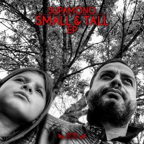 Small & Tall album cover