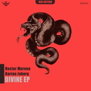 Divine album cover