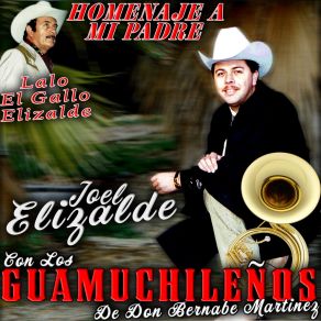 Homenaje A Mi Padre album cover