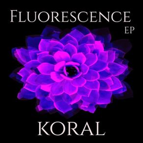 Fluorescence album cover