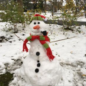 The Christmas Songs album cover