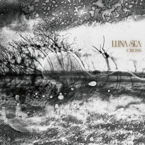 Cross The Line album cover