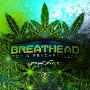 Pot & Psychedelics (Maxi-Single) album cover