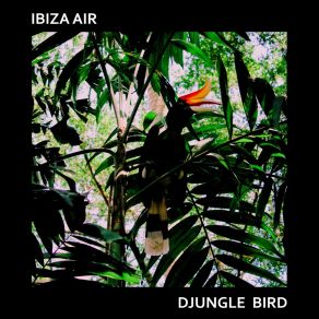 Djungle Bird album cover