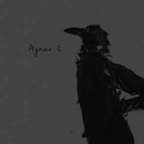 Agnes 2 album cover