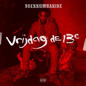 Vrijdag De 13e album cover