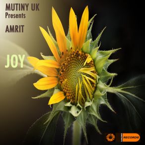 Joy album cover