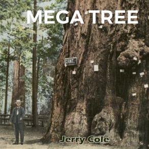 Mega Tree album cover