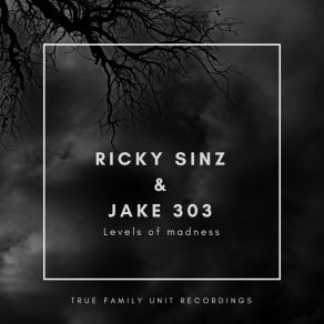 Levels Of Madness album cover