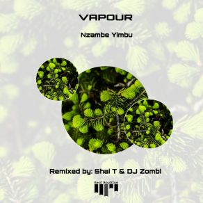 Nzambe Yimbu album cover
