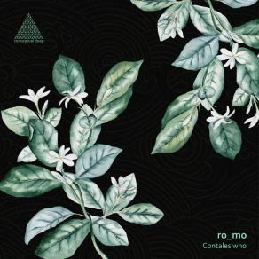 Contales Who album cover