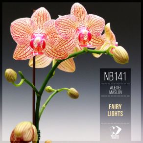 Fairy Lights album cover