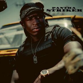 Striker album cover
