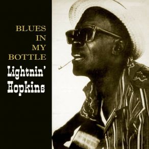 Blues In My Bottle album cover