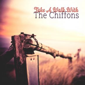Take A Walk With album cover