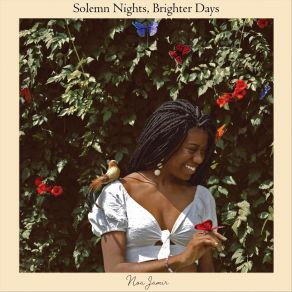 Solemn Nights, Brighter Days album cover