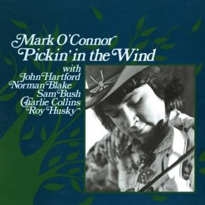 Pickin' In The Wind album cover