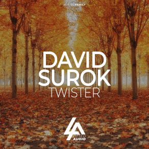Twister (Maxi-Single) album cover