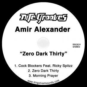 Zero Dark Thirty (Maxi-Single) album cover