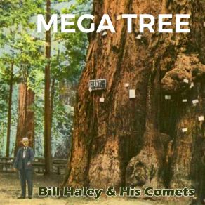 Mega Tree album cover