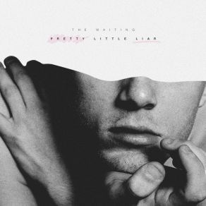 Pretty Little Liar album cover