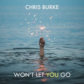 Won't Let You Go album cover