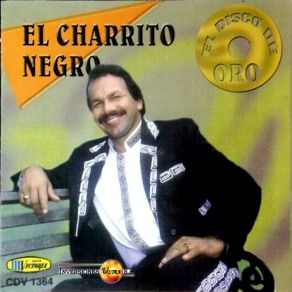 El Disco De Oro album cover