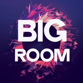 Big Room album cover