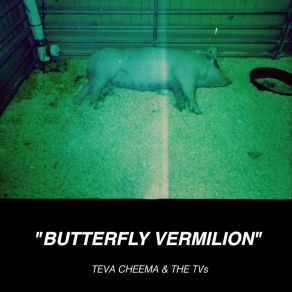 Butterfly Vermilion album cover