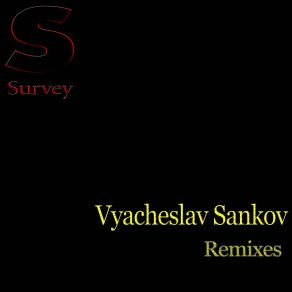 Remixes (Vyacheslav Sankov Remix) album cover