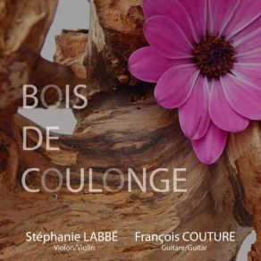 Bois De Coulonge album cover