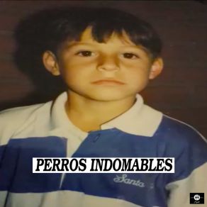 Perros Indomables album cover