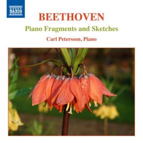 Beethoven: Piano Fragments & Sketches (CD2) album cover