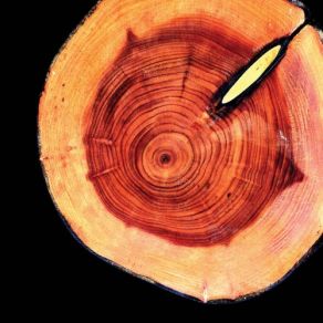 Breathe Again album cover