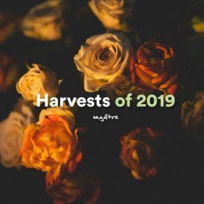Harvests Of 2019 album cover