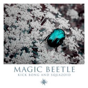 Magic Beetle (Maxi-Single) album cover