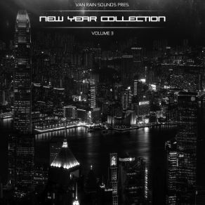 New Year Collection Vol. 3 album cover