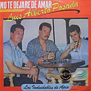 No Te Dejare De Amar album cover