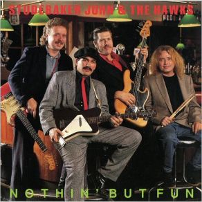 Nothing But Fun album cover