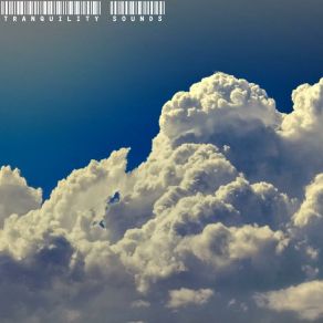 Dark Sky album cover