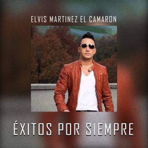 Éxitos Por Siempre album cover