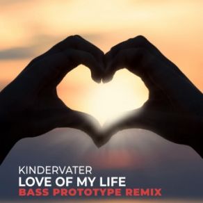 Love Of My Life (Bass Prototype Remix) (Maxi-Single) album cover