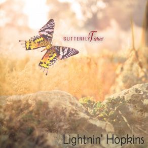 Butterfly Times album cover