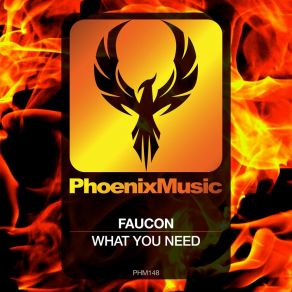 What You Need album cover