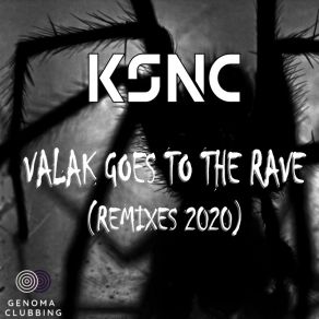 Valak Goes To The Rave (Remixes 2020) album cover