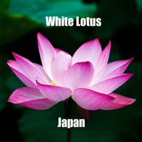 Japan album cover