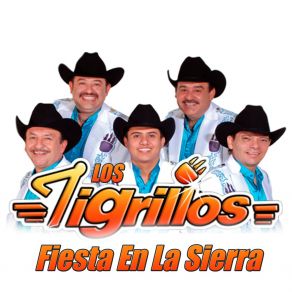 Fiesta En La Sierra album cover