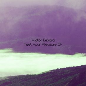 Feel Your Pleasure EP (Original Mix) album cover