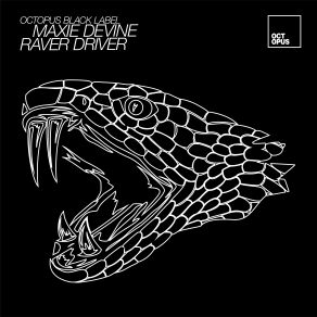 Raver Driver album cover